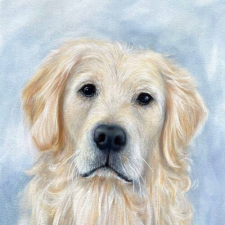  PPD Quinn papírszalvéta 33x33cm, 20db-os papírárú, csomagoló és tárolóeszköz
