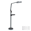 Prezent Prezent SALSA 31220 Állólámpa 1x15W/LED 735lm IP20