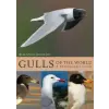 Princeton University Press Gulls of the World | Klaus Malling Olsen
