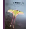 Princeton University Press Lives of Moths | Andrei Sourakov,Rachel Warren Chadd