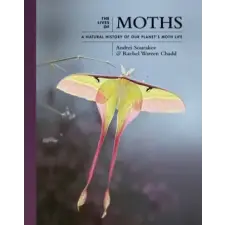 Princeton University Press Lives of Moths | Andrei Sourakov,Rachel Warren Chadd egyéb könyv