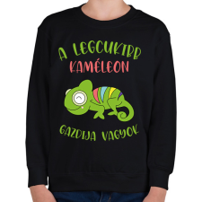 PRINTFASHION A legcukibb kaméleon gazdija - Gyerek pulóver - Fekete gyerek pulóver, kardigán