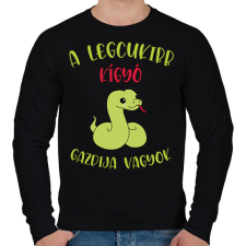 PRINTFASHION A legcukibb kígyó gazdija - Férfi pulóver - Fekete férfi pulóver, kardigán