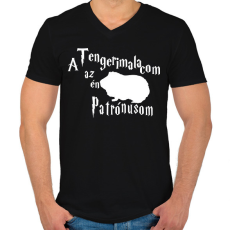 PRINTFASHION A Tengerimalacom az én Patrónusom - Férfi V-nyakú póló - Fekete