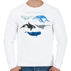 PRINTFASHION Bálna fajták - Férfi pulóver - Fehér