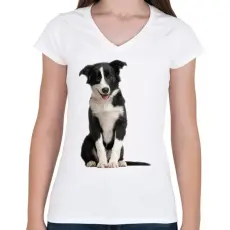 PRINTFASHION Border collie póló - Női V-nyakú póló - Fehér