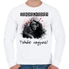 PRINTFASHION gondolkodom - Férfi pulóver - Fehér