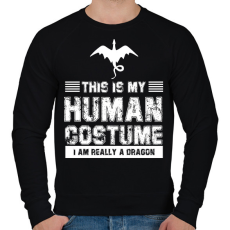 PRINTFASHION Igazából egy sárkány vagyok - Férfi pulóver - Fekete