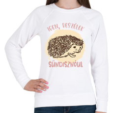 PRINTFASHION Igen, beszélek sündisznóul - Női pulóver - Fehér