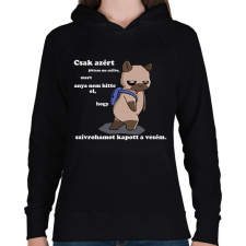 PRINTFASHION Kenny, a capybara és a suli (fehér szöveg) - Női kapucnis pulóver - Fekete női pulóver, kardigán
