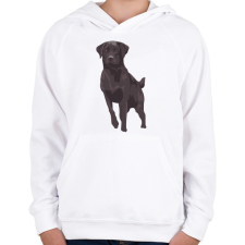 PRINTFASHION Labrador - Gyerek kapucnis pulóver - Fehér gyerek pulóver, kardigán