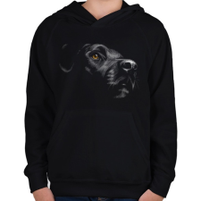 PRINTFASHION Labrador portré - Gyerek kapucnis pulóver - Fekete gyerek pulóver, kardigán