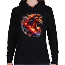 PRINTFASHION ló - Női kapucnis pulóver - Fekete női pulóver, kardigán