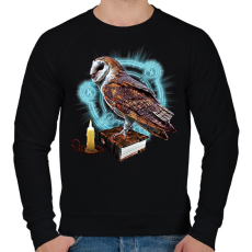 PRINTFASHION magic owl - Férfi pulóver - Fekete