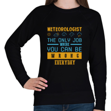PRINTFASHION Meteorologist the only job - Női pulóver - Fekete