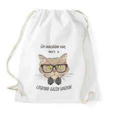 PRINTFASHION Úri macskám van - Sportzsák, Tornazsák - Fehér tornazsák