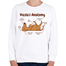 PRINTFASHION Vizsla anatómia - Gyerek pulóver - Fehér