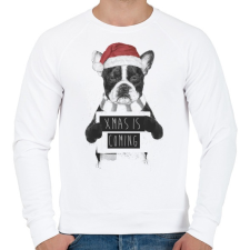 PRINTFASHION Xmas is coming - Férfi pulóver - Fehér férfi pulóver, kardigán