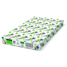 PRO-DESIGN Másolópapír digitális A3 250g (PRDES250X414) fénymásolópapír