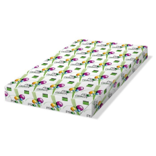 PRO-DESIGN Másolópapír digitális SRA3 450x320 mm 100g (PRDES100X421) (PRDES100X421) fénymásolópapír