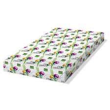 Pro-Desing SRA3 450x320mm nyomtatópapír (250db) (PRDES160X418) fénymásolópapír