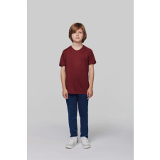 PROACT Gyerek póló Proact PA445 Kids&#039; Short Sleeved Sports T-Shirt -8/10, Ice Mint gyerek póló