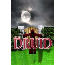  Project Druid - 2D Labyrinth Explorer (digitális licenc) videójáték