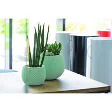 PROSPERPLAST Dekoratív virágcserép, kerek, zöld, 29x19,5 cm, Splofy Bowl kerti tárolás