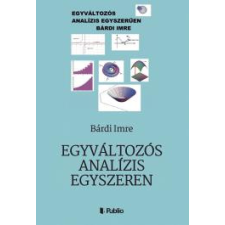 Publio Egyváltozós analízis egyszerűen egyéb e-könyv