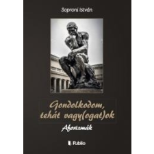 Publio Gondolkodom, tehát vagy(ogat)ok egyéb e-könyv