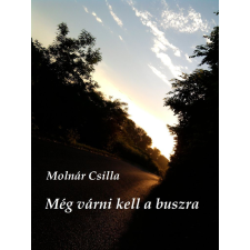Publio Még várni kell a buszra egyéb e-könyv