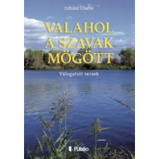 Publio VALAHOL A SZAVAK MÖGÖTT egyéb e-könyv