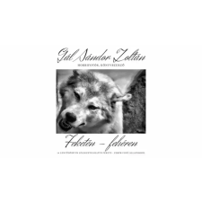 Publishdrive Feketén - fehéren egyéb e-könyv