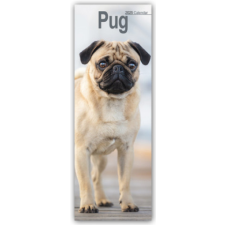 Pugs - Möpse 2025 naptár, kalendárium