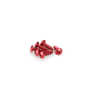 PUIG Puig M6x20 mm-es domború csavar készlet, piros Puig Vázak, idomok, kiegészítők Csavarok és alkatrészek