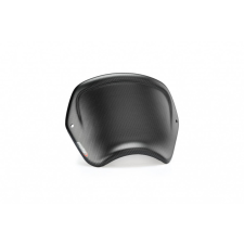 ﻿PUIG Windshield PUIG FRONTAL PLATE 3702C carbon look bukósisak
