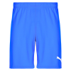 Puma Rövidnadrágok TEAMRISE MATCHDAY Kék US XL