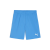 Puma sport PUMA teamGOAL rövidnadrág