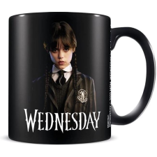 Pyramid B0BZDZCNKP, Wednesday, Official, 315 ml, Fekete, Bögre bögrék, csészék