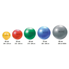  QMED Fizioball pumpával 65 cm 150 kg-ig gyógyászati segédeszköz