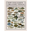 Quarto Publishing Plc How Zoologists Organize Things – David Bainbridge
