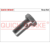 Quick Brake üreges csavar QUICK BRAKE 3251