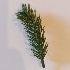 Qx Fenyő ág 8cm dekorációs kellék