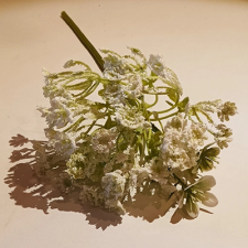 Qx Művirágszál, apró virágok 30cm 7 ág fehér dekorációs kellék