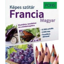 Raabe Klett Oktatási Tanácsadó és Kiadó PONS Képes szótár - Francia - A1-B2 szint nyelvkönyv, szótár