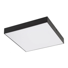 RÁBALUX Rábalux 7900 Tartu,kültéri mennyezeti lámpa,LED 24W,fekete,szögl. kültéri világítás