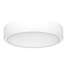 RÁBALUX Rábalux Lauri 71244 fali/mennyezeti lámpa, 22W LED, 3000K-4000K-6000K, 2300lm világítás