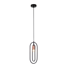 RÁBALUX Rábalux ROVIER 72263 függeszték, 1x40W E27 világítás