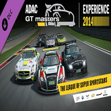  RaceRoom - ADAC GT Masters Experience 2014 (Digitális kulcs - PC) videójáték