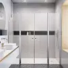 Radaway Eos DWD II zuhanyajtó 170 átlátszó